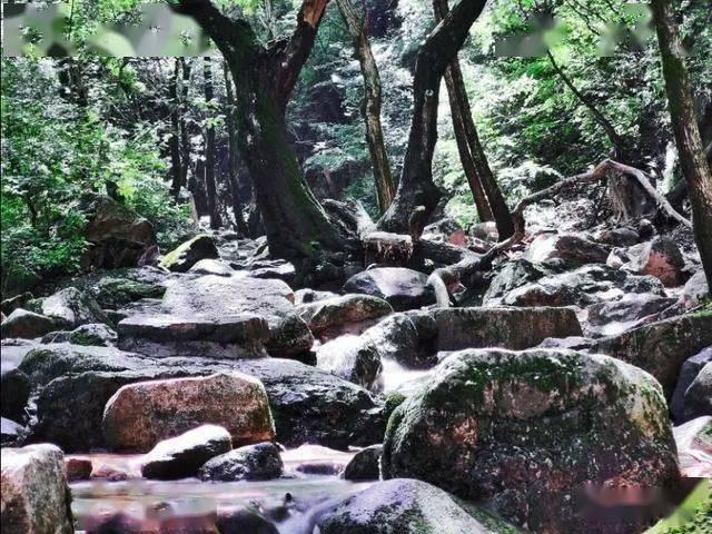 探索程晋跃怎么写诗词?,开启知识星球平台